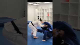 Cat Judo #judo #wrestling #jiujitsu