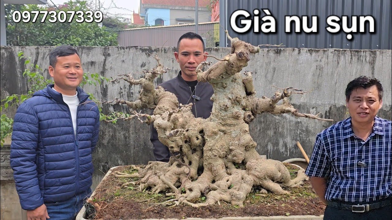 Em Thịnh mua được cây quý của anh Dưỡng mà sướng như lấy được vợ 2 