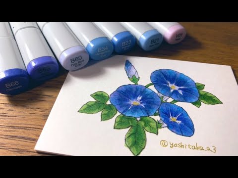 色解説付き 朝顔を塗る コピックメイキング Youtube