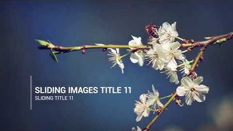 Sliding Images Slideshow After Effects Template [ modern & dynamic slideshow with fast rendering ]