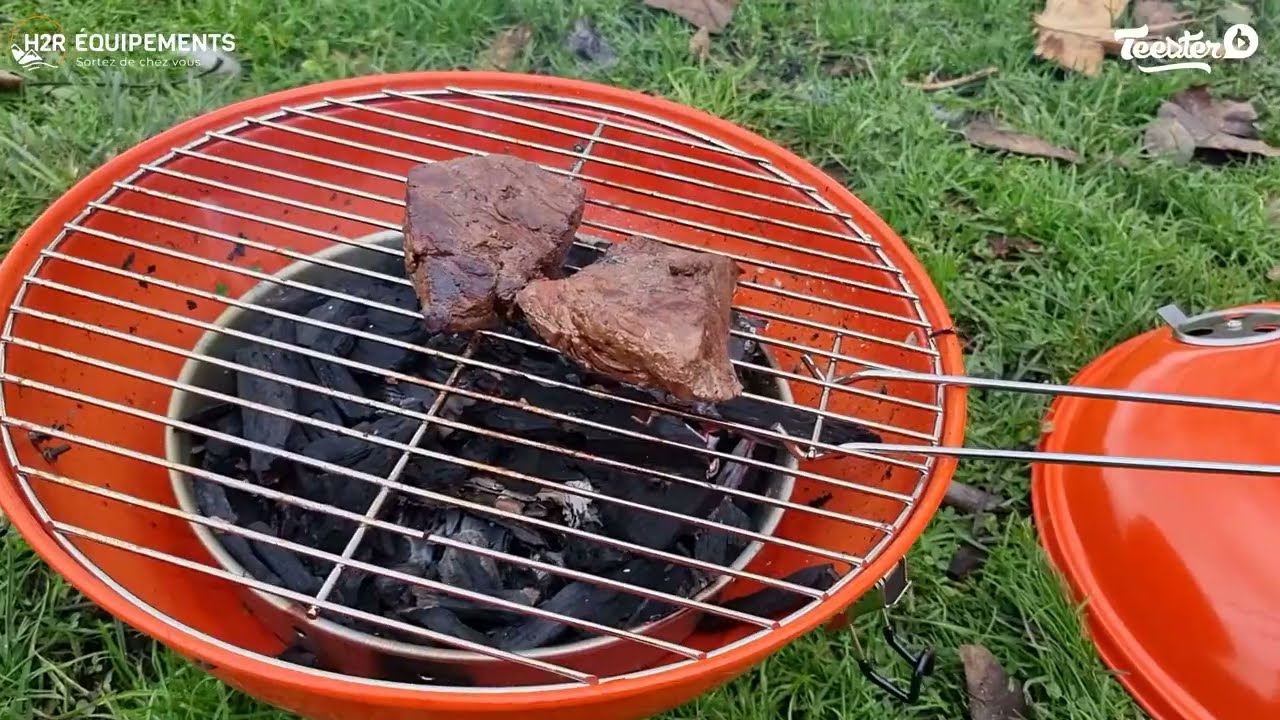 Barbecue à charbon portable - Barbecue d'extérieur pour jardin