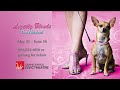 Legally Blonde The Musical presented by Grand Rapids Civic Theatre