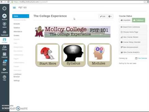 Molloy College TLS: How to publish in Canvas