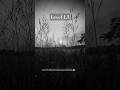 Level 1.3