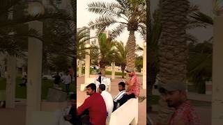 Shaam bhe khoob hay #tourism #kuwaitview #desertadventures #travel #traverseedudesert #shortsfeed