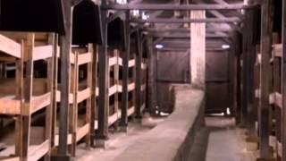 Auschwitz to Mark 70th Anniversary of Liberation: International Holocaust remembrance day on Jan 27