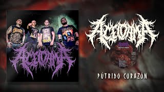 ACELDAMA - PUTRIDO CORAZON [SINGLE] (2023) SW EXCLUSIVE