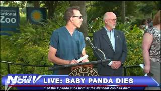 FNN: Baby Panda Dies - Press Conference at National Zoo