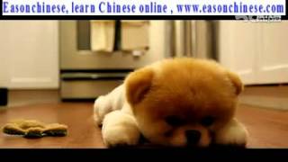 2058 cute cannot eat when the meal, I can get to sleep, have to get up early tomorrow!