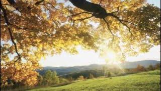 Sixpence None The Richer - A Million Parachutes