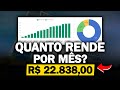 Vale a pena investir em aes  quanto recebo por ms minha carteira de investimentos