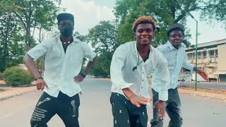 BADAMINTON BY CKAY DANCE VIDEO