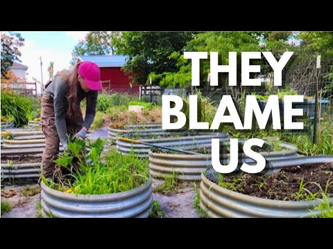 Our Garden Is Gone. Here's What We Do Next.