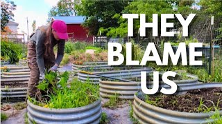 Our Garden Is Gone. Here's What We Do Next.