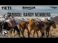 CARIBOU HUNT w/ Randy Newberg