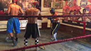 Franklin el abuelo González