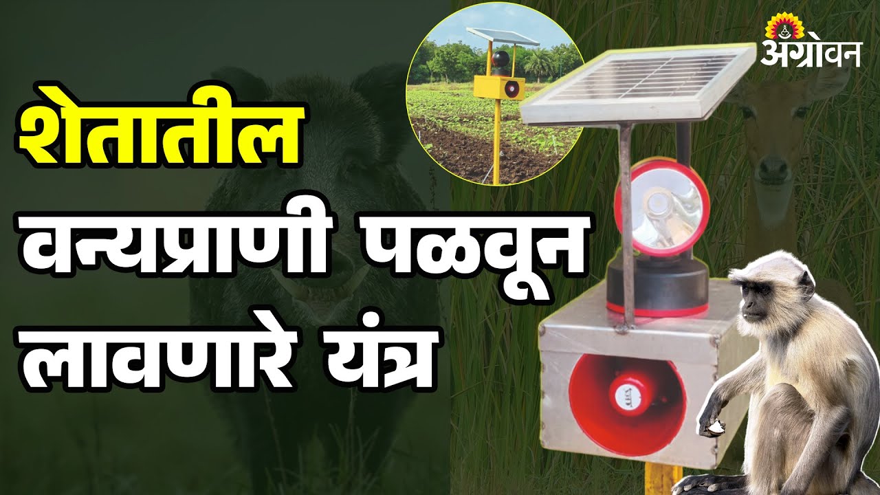 Crop Protection : शेतात येणाऱ्या वन्यप्राण्यांना पळवून लावा या यंत्राने|Agrowon