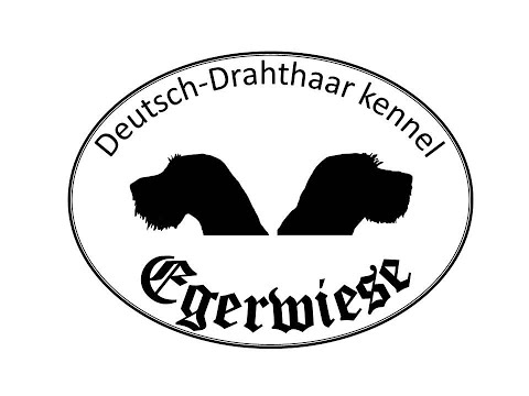 Вальдшнеп. Woodcock. ტყის ქათამი 22.12.22