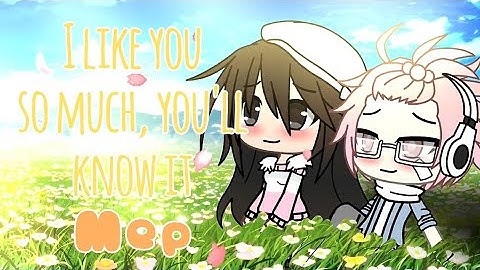 I Like You So Much, You