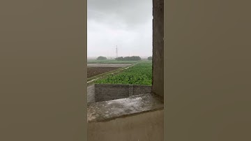 فَكُلِي وَٱشۡرَبِي وَقَرِّي عَيۡنٗاۖ ||من سورة مريم تهدأت عيسى لامه 🥺🤍|| القارئ شريف مصطفى
