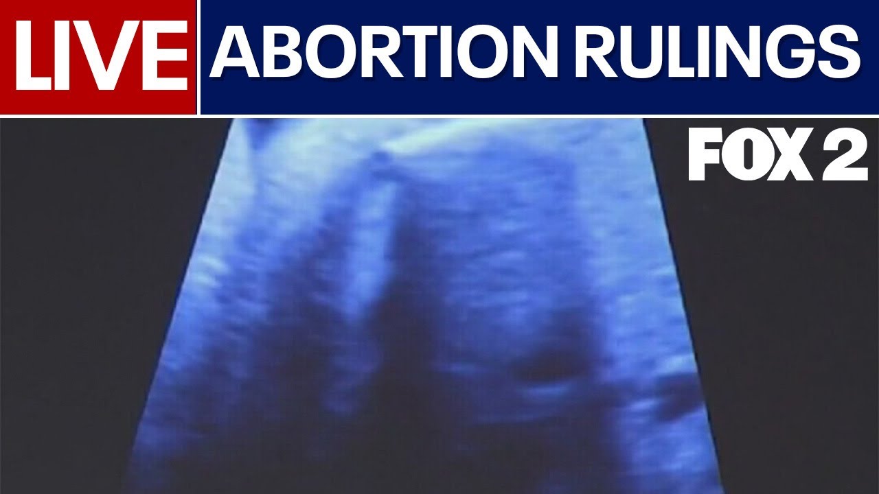 Abortion restrictions overturned in Michigan