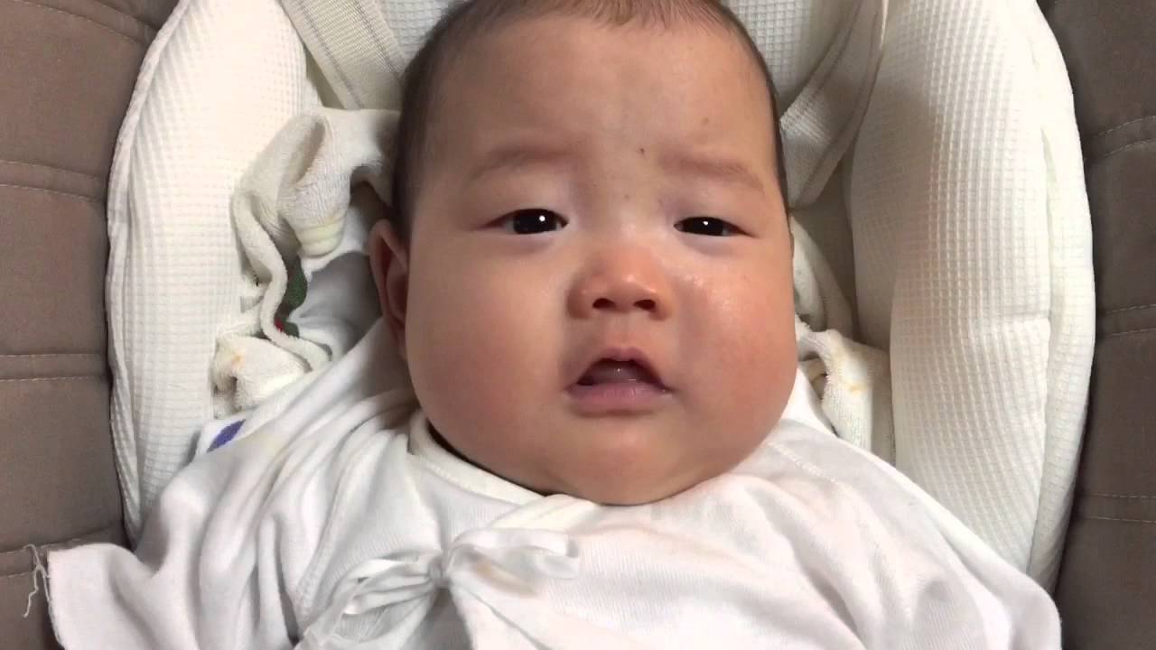 おマメちゃん 赤ちゃん 喃語空耳アワー Youtube