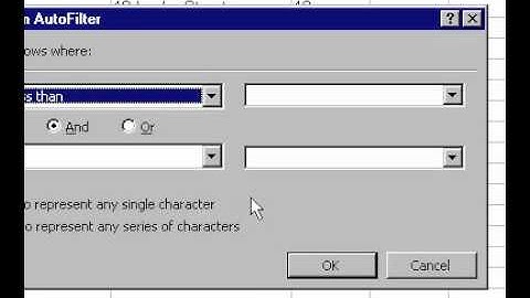 Microsoft Office Excel 2000 Custom Filter