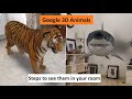 google 3d animals view HINDI