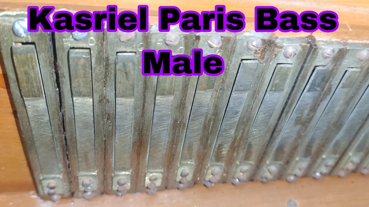 Kasriel Paris Bass Male Reeds। Sold । 44 + 44 Excellent condition ...