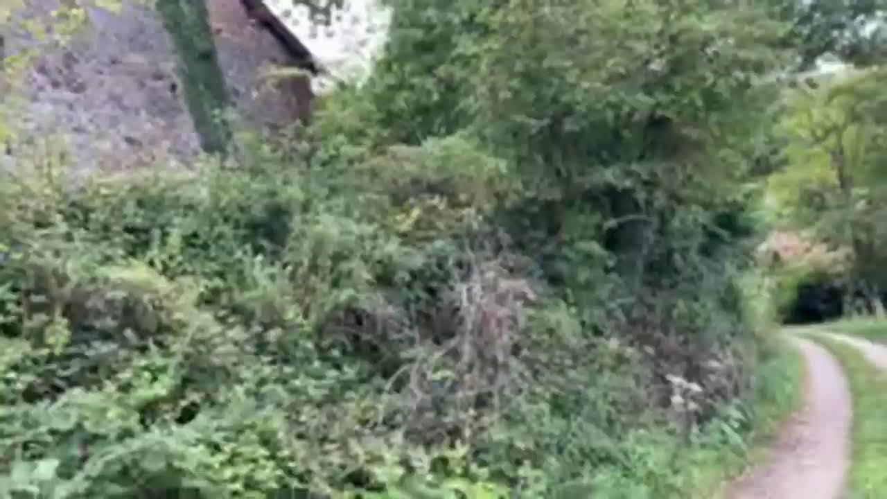 Cabañas en Asturias baratas