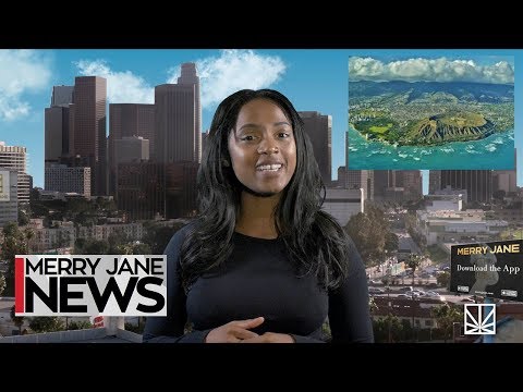 NYC Bans CBD Drinks & Edibles | HI & NM Move Towards Legalization | MJ NEWS