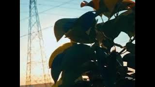 Cinematic 30 Detik | Aurora - Runaway