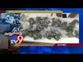 Engineering students held with cannabis in Hyderabad