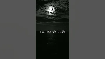 الله نور السموات والارض بصوت بنت Shorts 
