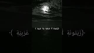 الله نور السموات والارض /بصوت بنت / #Shorts