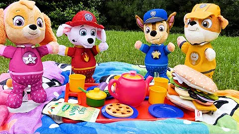 बच्चों के लिए बेस्ट टॉय लर्निंग वीडियो - Paw Patrol Snuggle Pup Picnic!