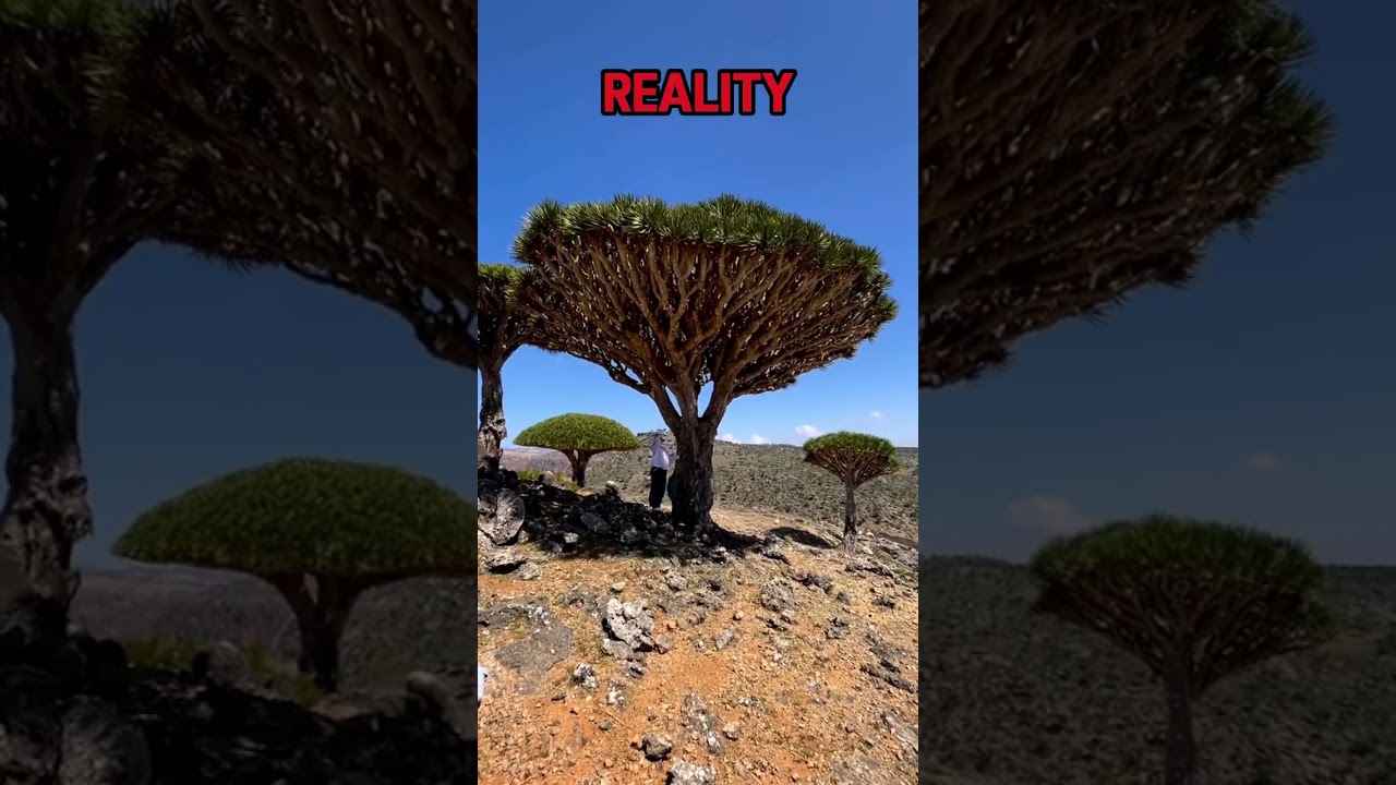 Social Media Vs Reality (Shocking) #yemen #travel #holiday #touristplace