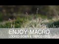 Nature Photography | Enjoy Macro Tripod Free