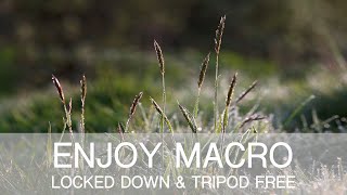 Nature Photography | Enjoy Macro Tripod Free