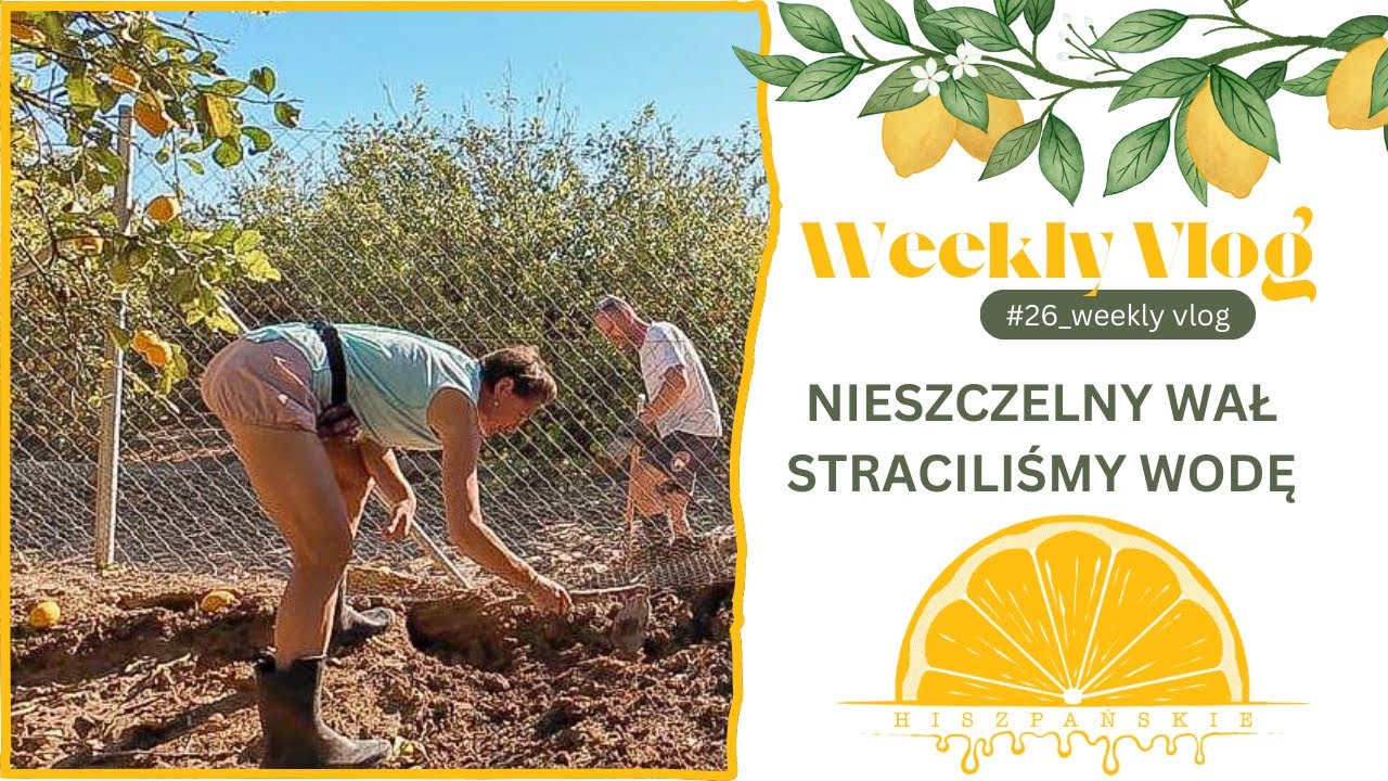 #74 NIESZCZELNY WAŁ, STRACILIŚMY WODĘ 💦💧💦 WeeklyVlog