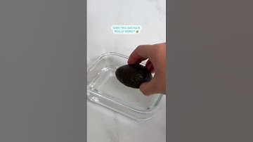 How To Keep Avocado Fresh For Longer 🥑 | Tropeaka Life Hacks