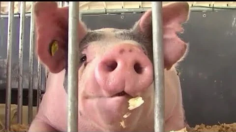 Prop 12 case goes to the Supreme Court