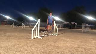 Marshall playing with jump commitment