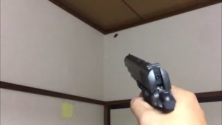 ゴキブリをガスガンで駆除する　　Killing cockroaches with a gas gun