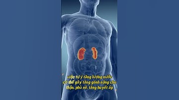 Uống nhiều nước lọc có gây suy thận không? - Phan Thanh Vĩnh #shorts #nước_lọc #suy_thận #sức_khoẻ