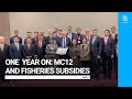 One year on: MC12 and the Agreement on Fisheries Subsidies