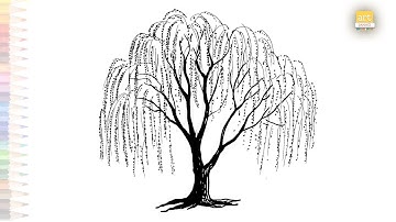 Weeping willow tree drawing easy | Outline sketches | How to draw A Weeping willow tree simply