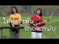 กิ๊ฟน้อย พนมไพร feat. เจี๊ยบ จิตติมา : ไทดำรำพัน | ໄຕດຳລຳພັນ【Isan Lam Ploen】