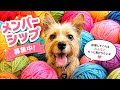 【メンバーシップ始めます！】編み物