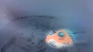 A Piranha Trying To Bite Me